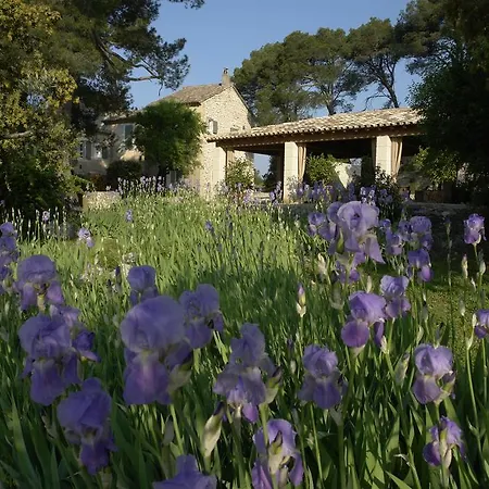 Hotel De La Rose - Teritoria